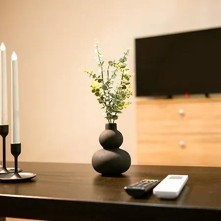 Urban Loft Old Town 26 Daire Temeşvar