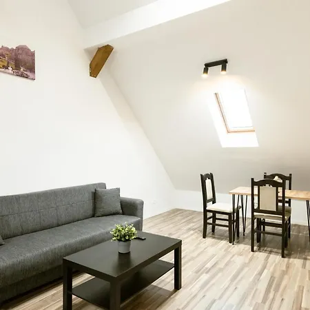 Apartment Urban Loft Old Town 26 Timişoara