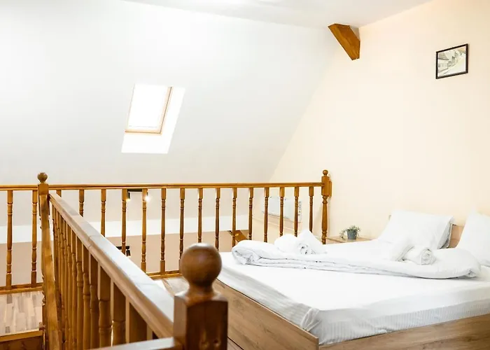 Urban Loft Old Town 26 Timişoara